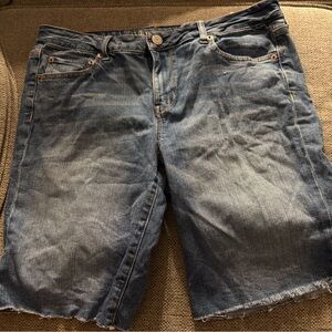 American Eagle Outfitters Blue Denim Jean Shorts